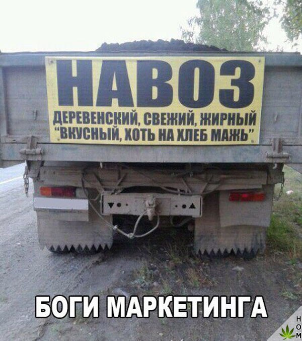 Смешные картинки с надписью для веселья (11 фото) Смешные картинки с надписью для веселья (11 фото)