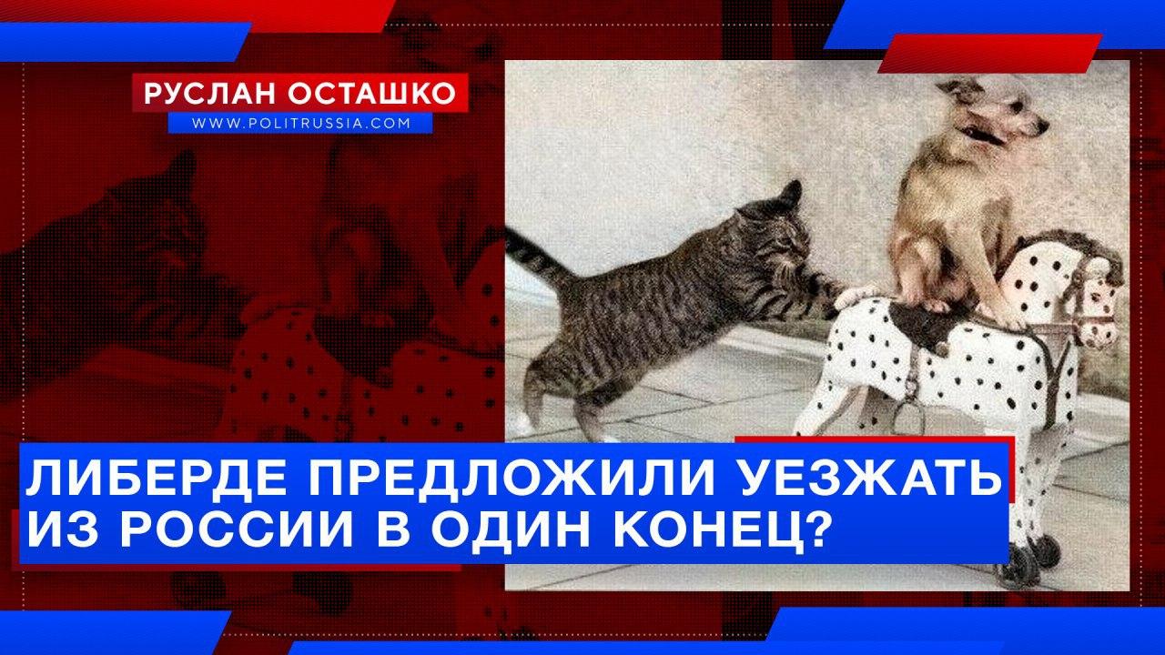 Либерде предложили уезжать из России в один конец?