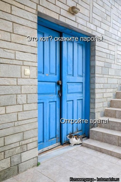Лучшие котоматрицы недели Лучшие котоматрицы недели