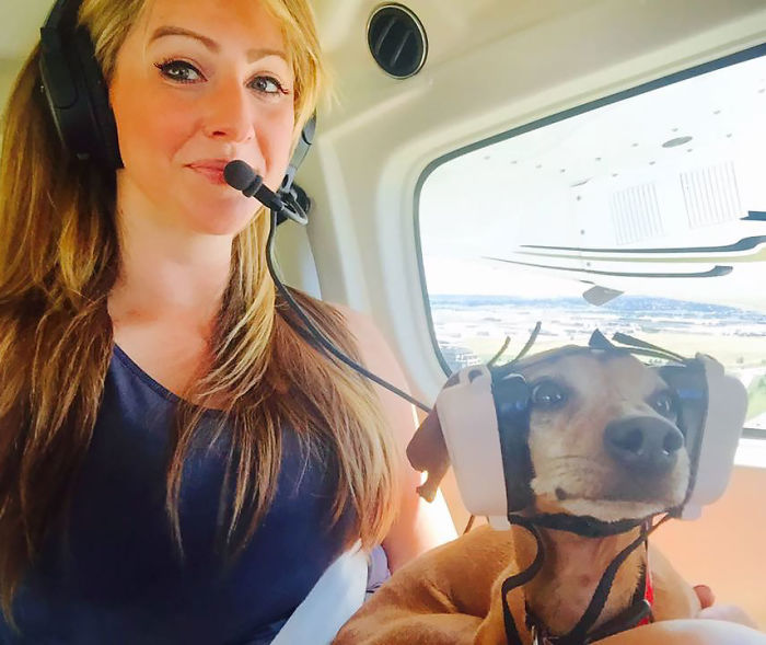 Puppy On His First Flight