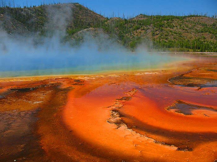 Национальный парк Йеллоустон (Yellowstone). Фото.