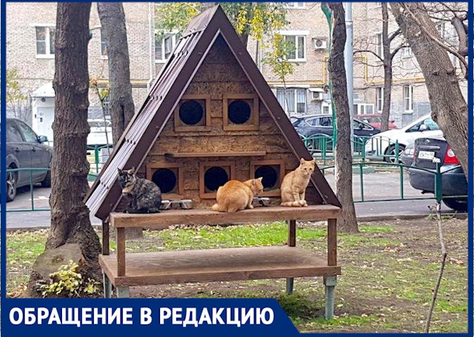 Перед зимой дворовым животным в Москве построили Перед зимой дворовым животным в Москве построили
