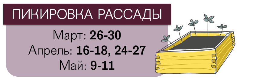 Лунный календарь посева помидоров на 2018 год Лунный календарь посева помидоров на 2018 год