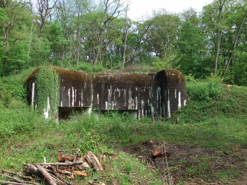 Неприступная Линия Мажино история, Мажино, война, факты
