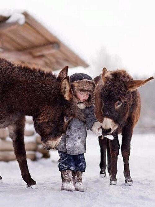 Подборка самых милых трогательных фото с детьми и животными!