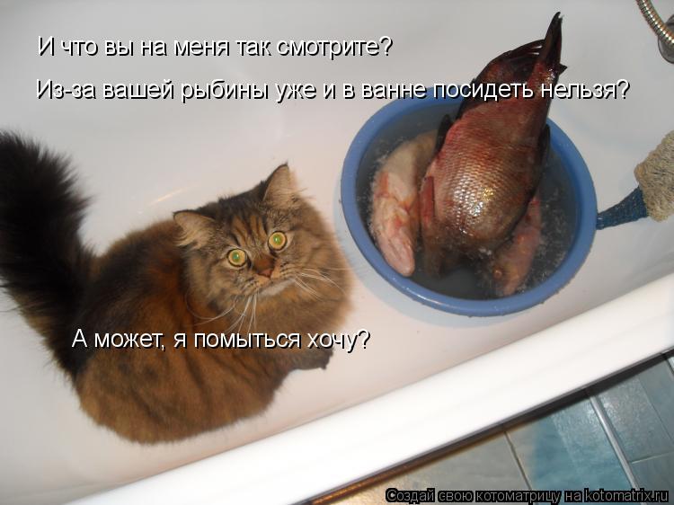  -  ?       ?  -      