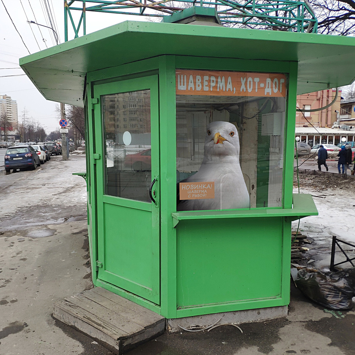 «Фантастические твари» и где они обитают в Петербурге (ФОТО)