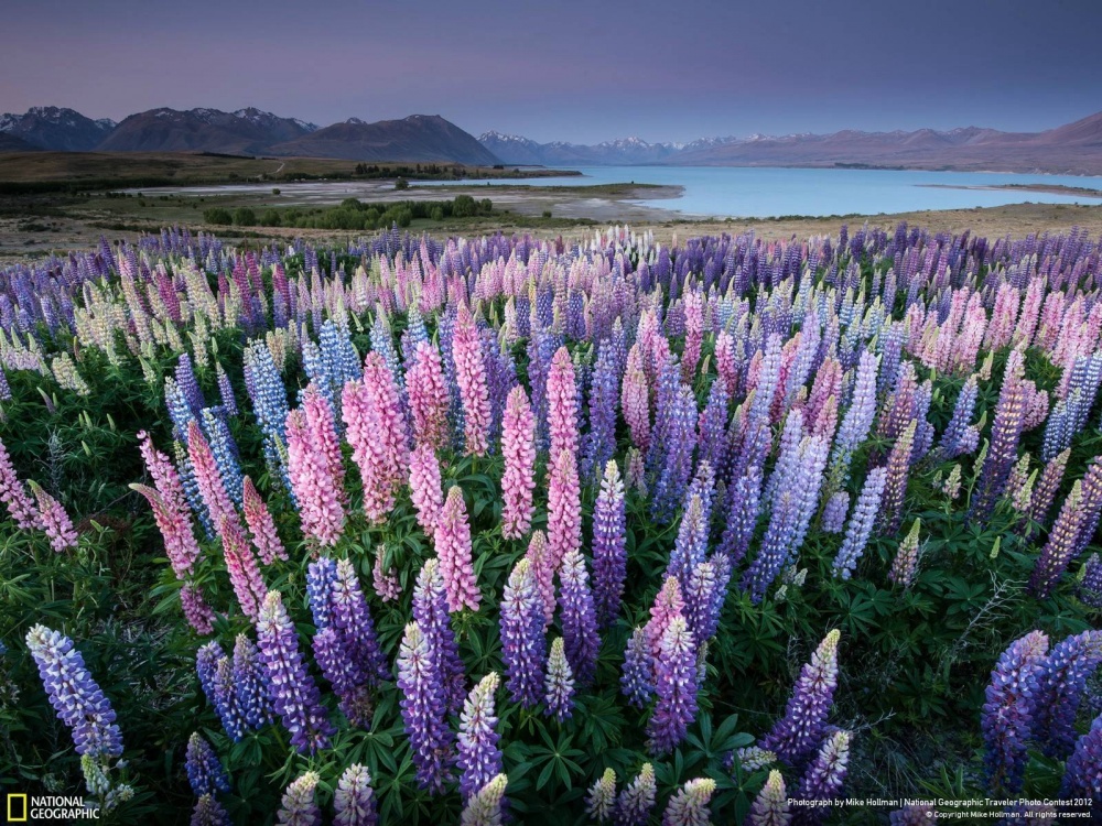 14 фотографий, с которыми вы откроете для себя волшебную природу Новой Зеландии