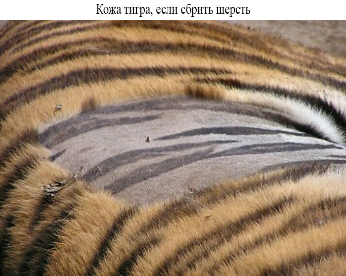 Неизвестная сторона знакомых вещей в фотографиях