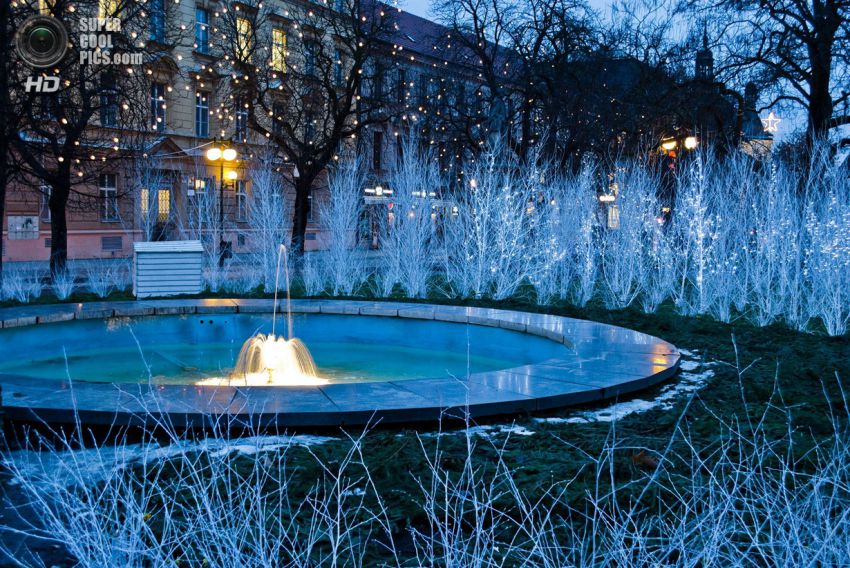 Праздник, Фото, Красиво