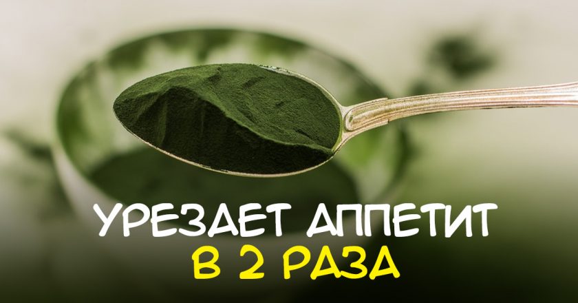 Полезные свойства хлореллы Полезные свойства хлореллы