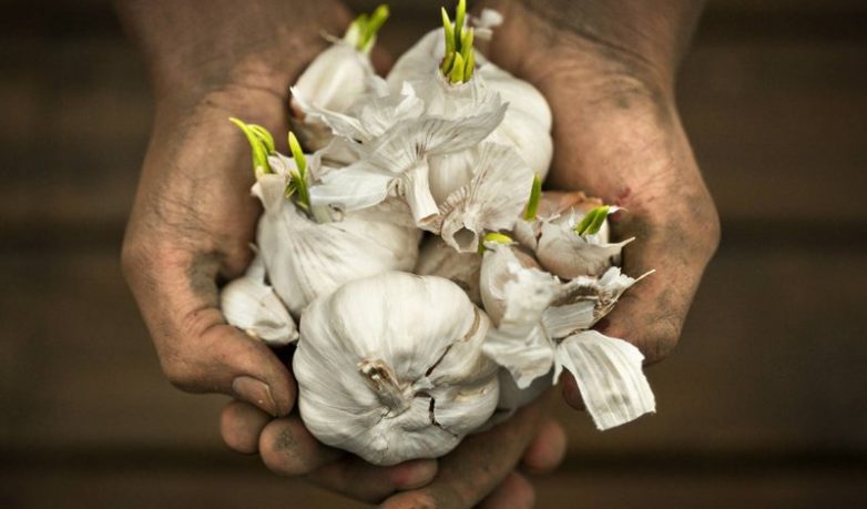 7 продуктов, которые нужно есть для здоровья сердца 7 продуктов, которые нужно есть для здоровья сердца