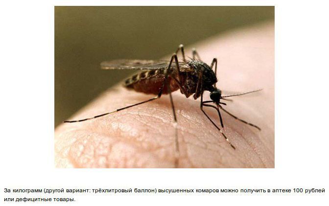 Легенды, СССР, Забавно