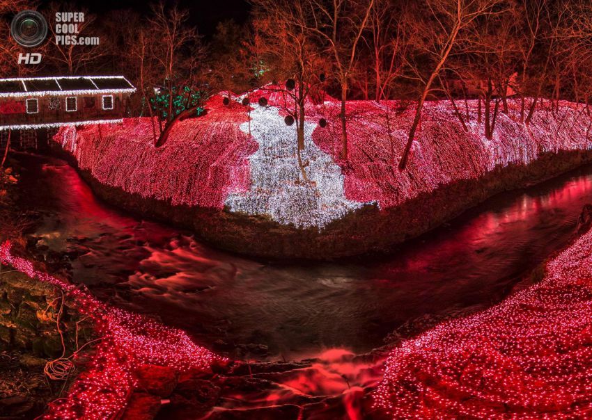 Праздник, Фото, Красиво