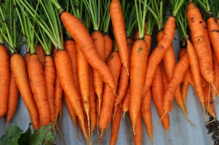 Эликсир молодости: 30 продуктов обладающих омолаживающим эффектом продукты для молодости, что есть чтобы не стареть