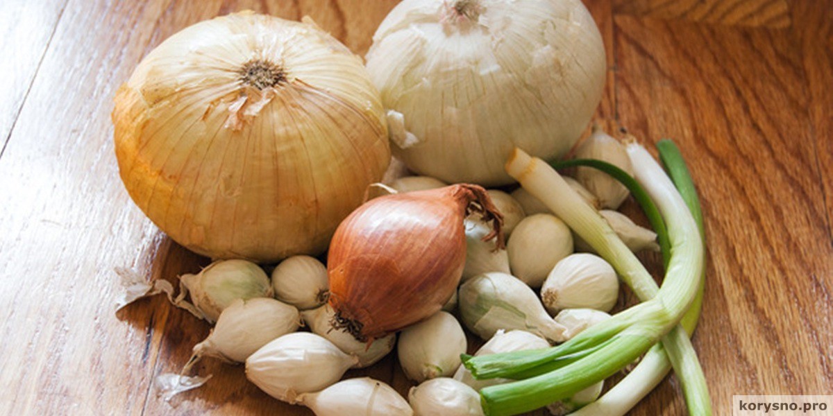 There are 11 different varieties of onions.  Here's how to use them correctly!
