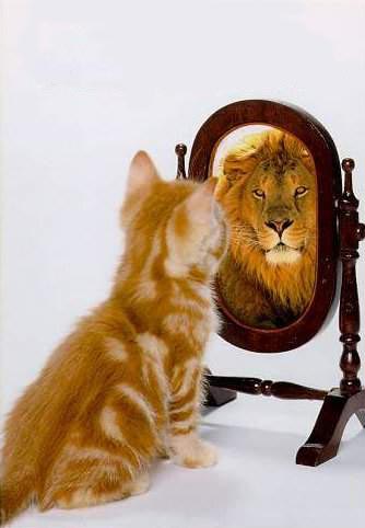 Мудрые фразы о жизни и любви