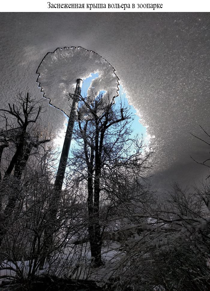 Неизвестная сторона знакомых вещей в фотографиях