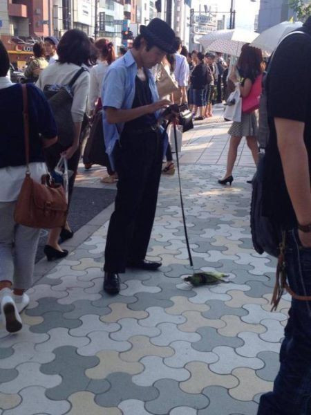 фото, интересное