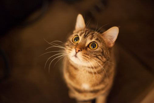 121213_132321_55931_2