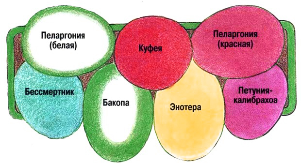 что посадить на балконе из цветов