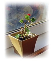 ������ ������� �� ��������������� ����������