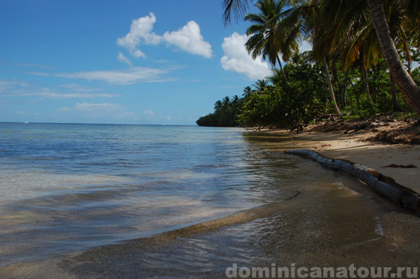 погода в доминикане