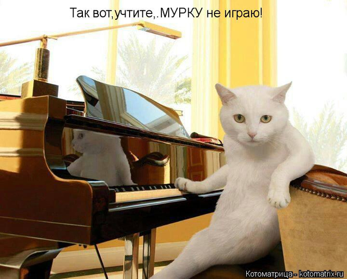 kotomatritsa_eb (700x562, 331Kb)