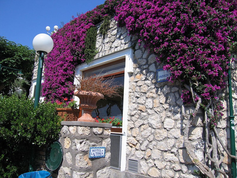 NewPix.ru - Живописный остров Капри,Италия