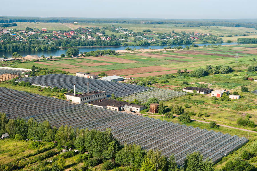 Территория цветов Территория цветов