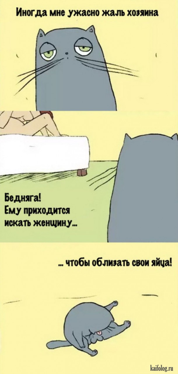 Веселые картинки (60 картинок) Веселые картинки (60 картинок)