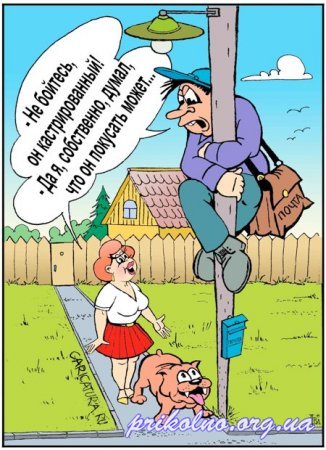 Веселые карикатуры (34 фото)