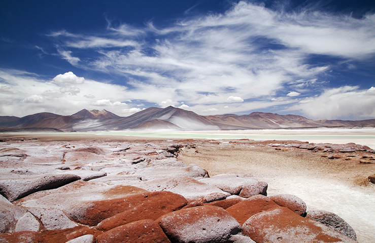 Пустыня Атакама (Чили)
