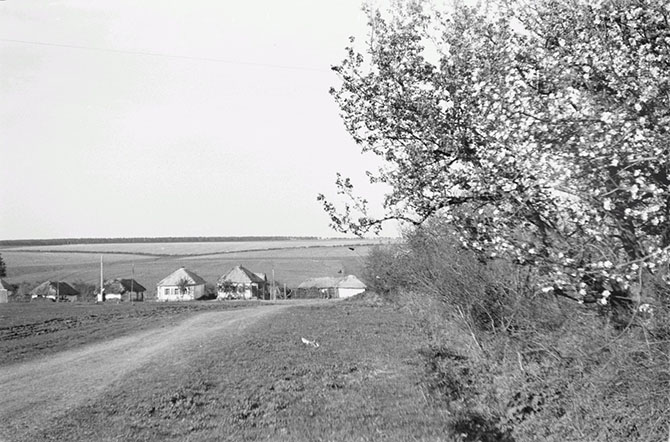 Белгородской области 1943 года в объективе рядового вермахта