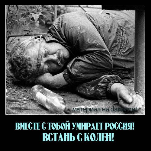 Русский, встань с колен!