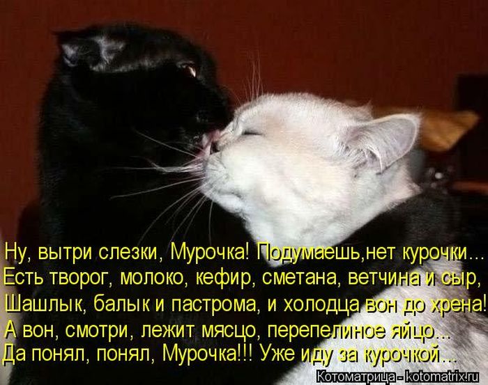 ����������� (49 ����)