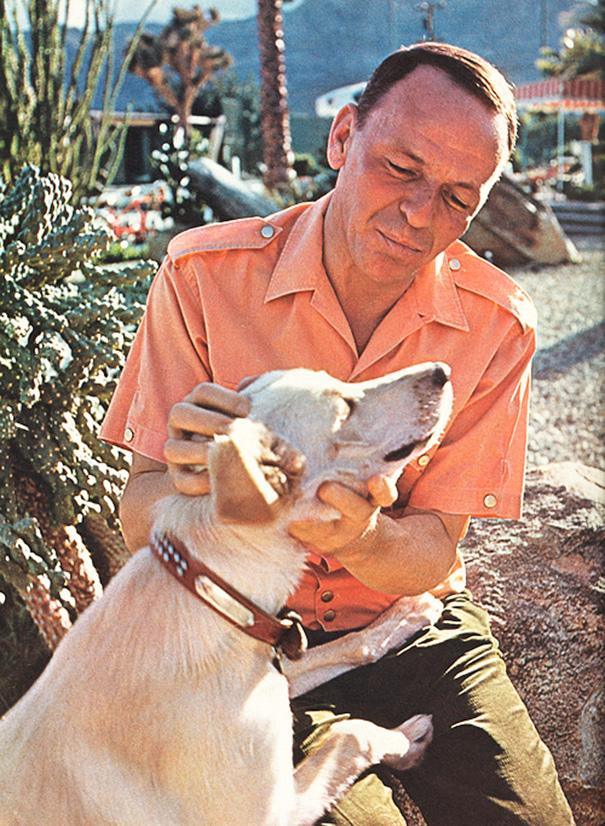 Фрэнк Синатра со собакой Ринго