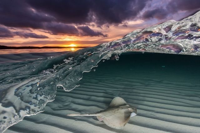 Фотографии National Geographic 2018 Натура, животные, природа