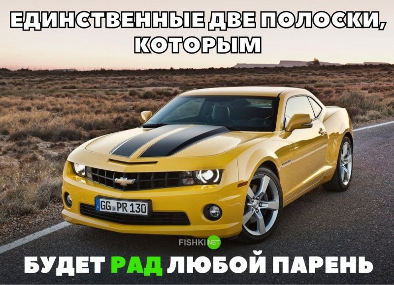 Единственные две полоски, которым будет рад любой парень Единственные две полоски, которым будет рад любой парень авто, автомобили, автоприкол, автоприколы, подборка, прикол, приколы, юмор