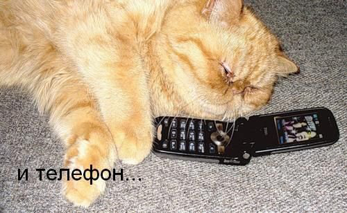 телефон
