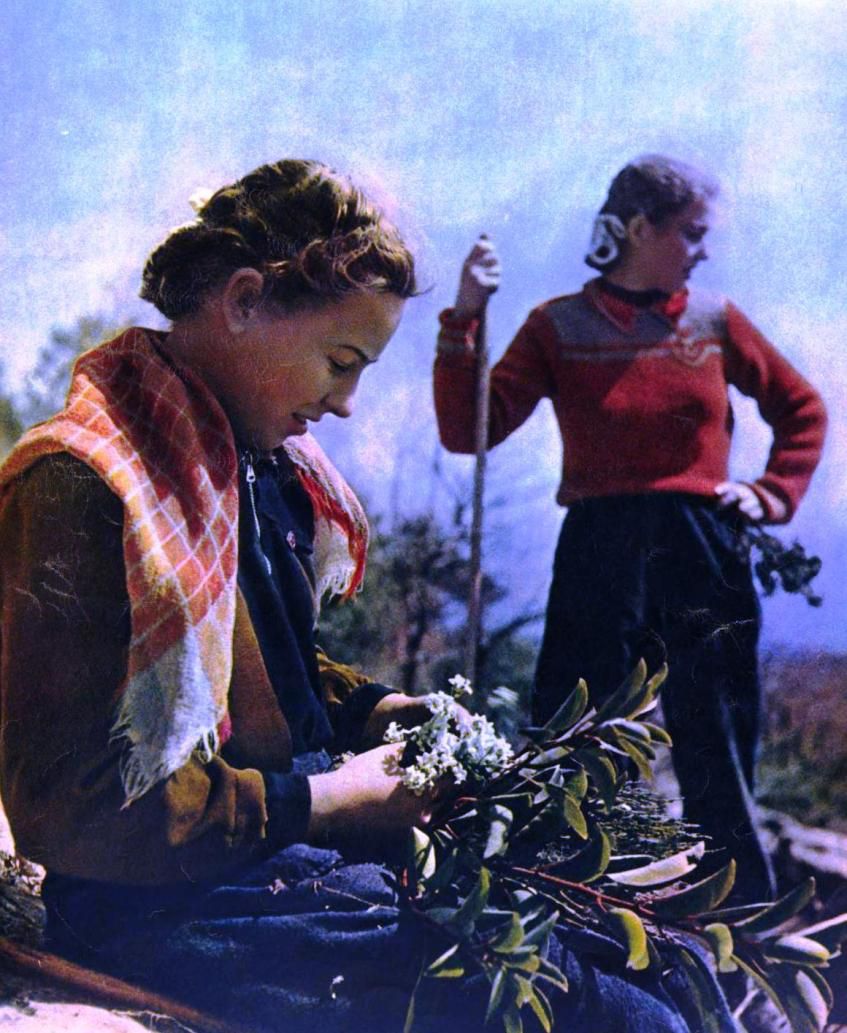 Украина, СССР, Огонёк