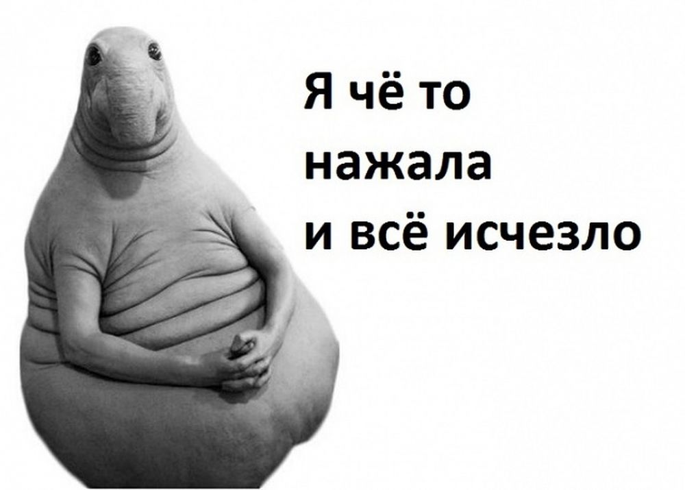 10 самых популярных мемов уходящего десятилетия