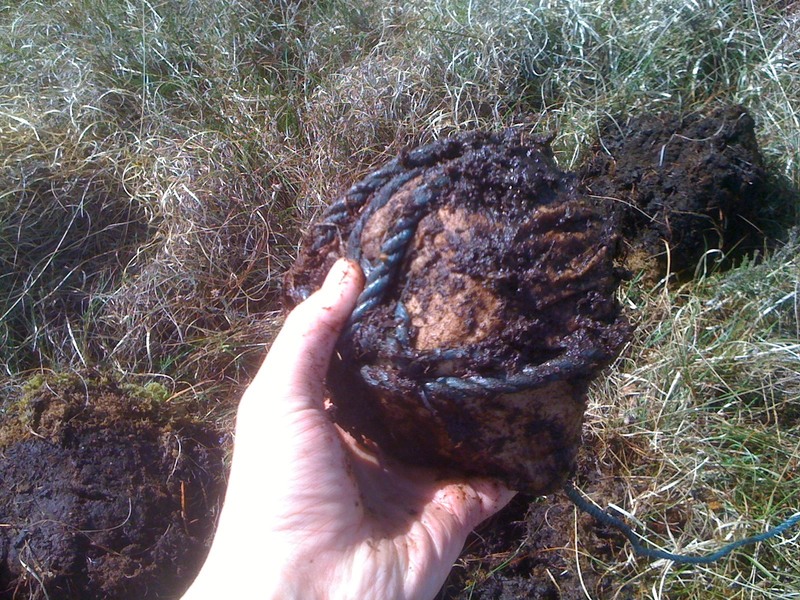 The bog butter bundle, after 18 months.