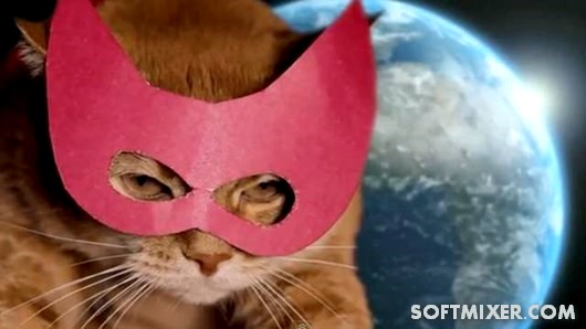 Десять историй о котах-героях Десять историй о котах-героях