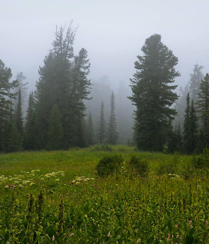 Путешествие по Ергакам Автор фотографий - Михаил фото