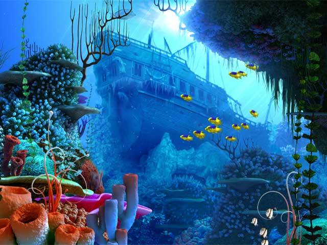 4690170_632540_m (640x480, 56Kb)