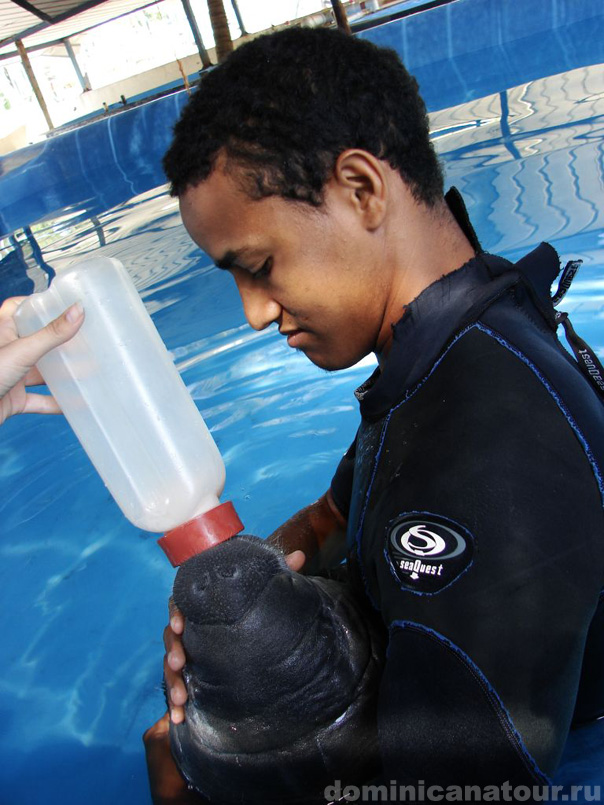 Пунта Кана расположена на Юго-Востоке острова Гаити в Доминиканской Республике