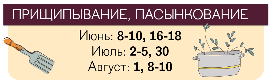 Лунный календарь посева помидоров на 2018 год Лунный календарь посева помидоров на 2018 год