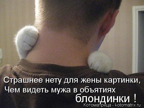И снова котоматрица!!! И снова котоматрица!!!