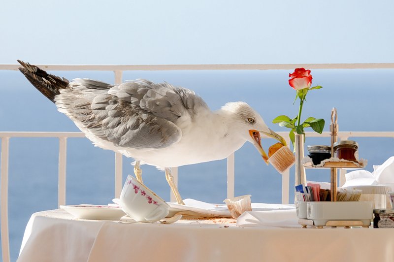 NewPix.ru - Живописный остров Капри,Италия